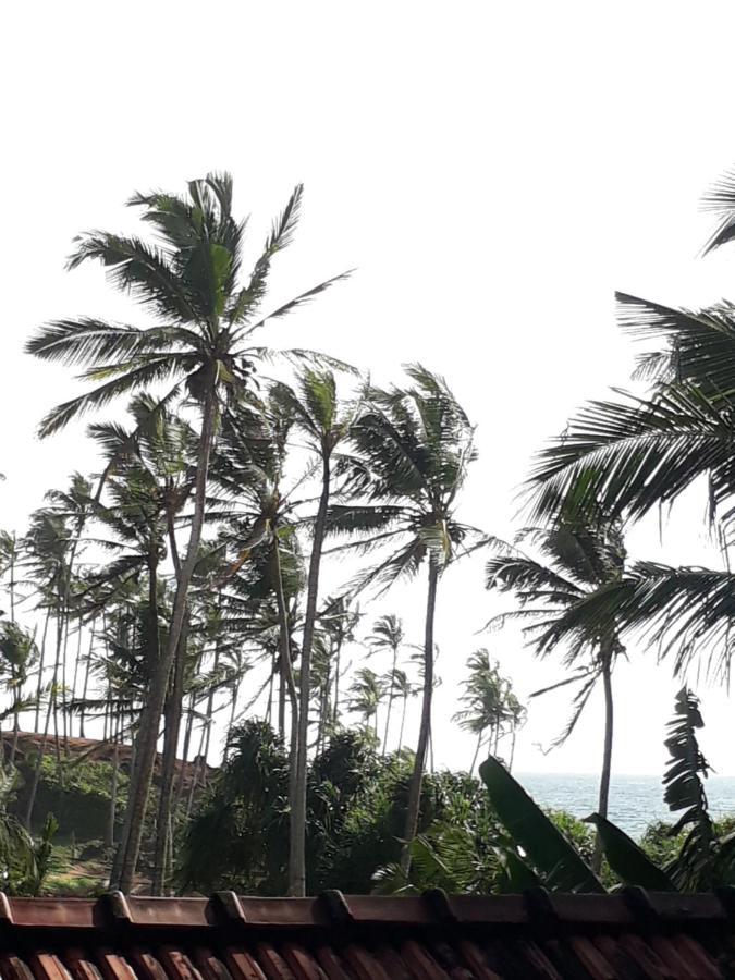 Coconut Reach Hotell Mirissa Exteriör bild